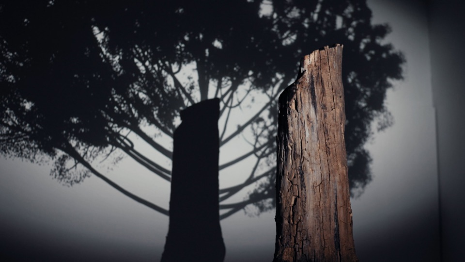 Shadow of Memory